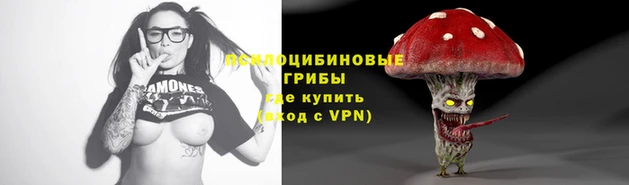 спайс Козельск