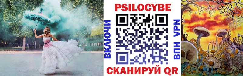 Галлюциногенные грибы Psilocybine cubensis  Юрьевец 